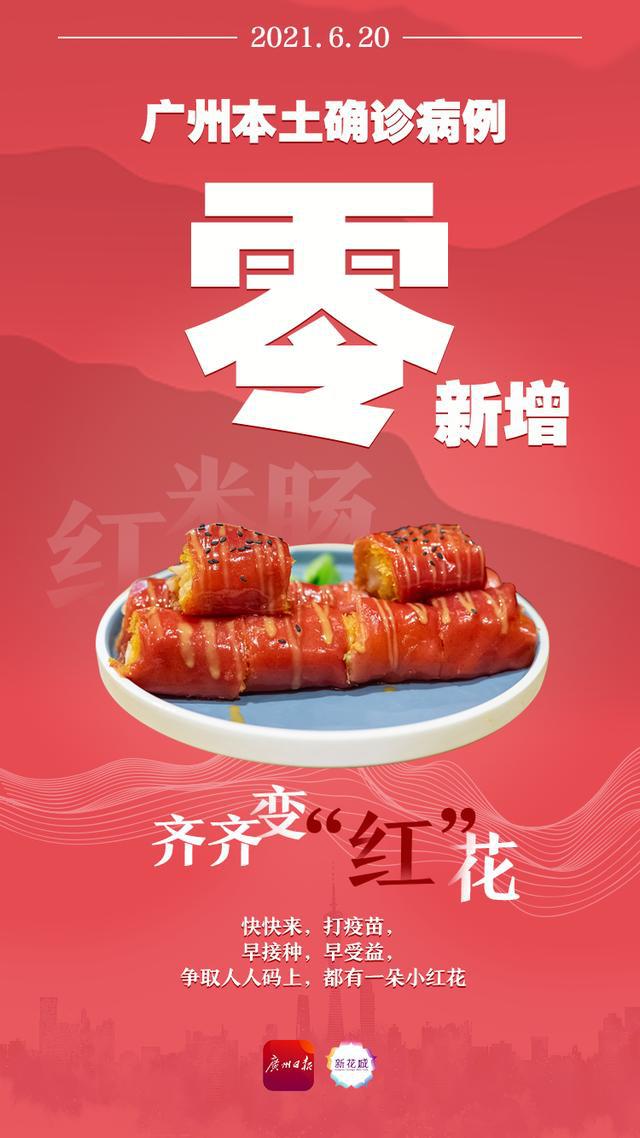 河南省疫情指挥部通告与拉萨疫情防控动态，双重关注下的地域发展挑战