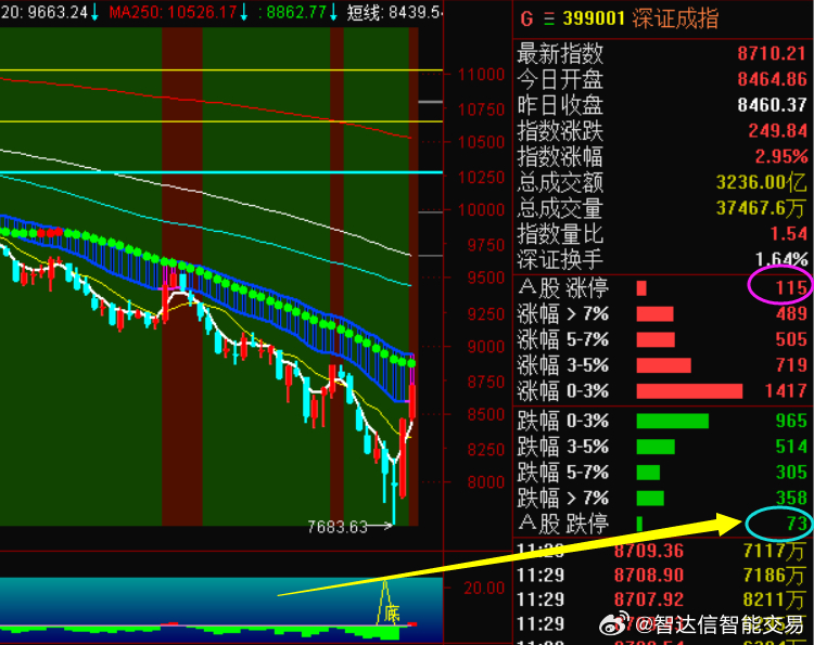 【上海对香港入境最新规定/香港入境最新规定疫情期间 上海】