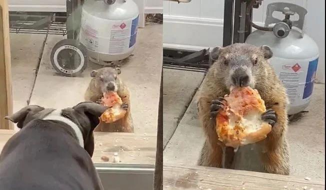 玩家必看教程“决战十三水怎么开挂”详细教程辅助工具