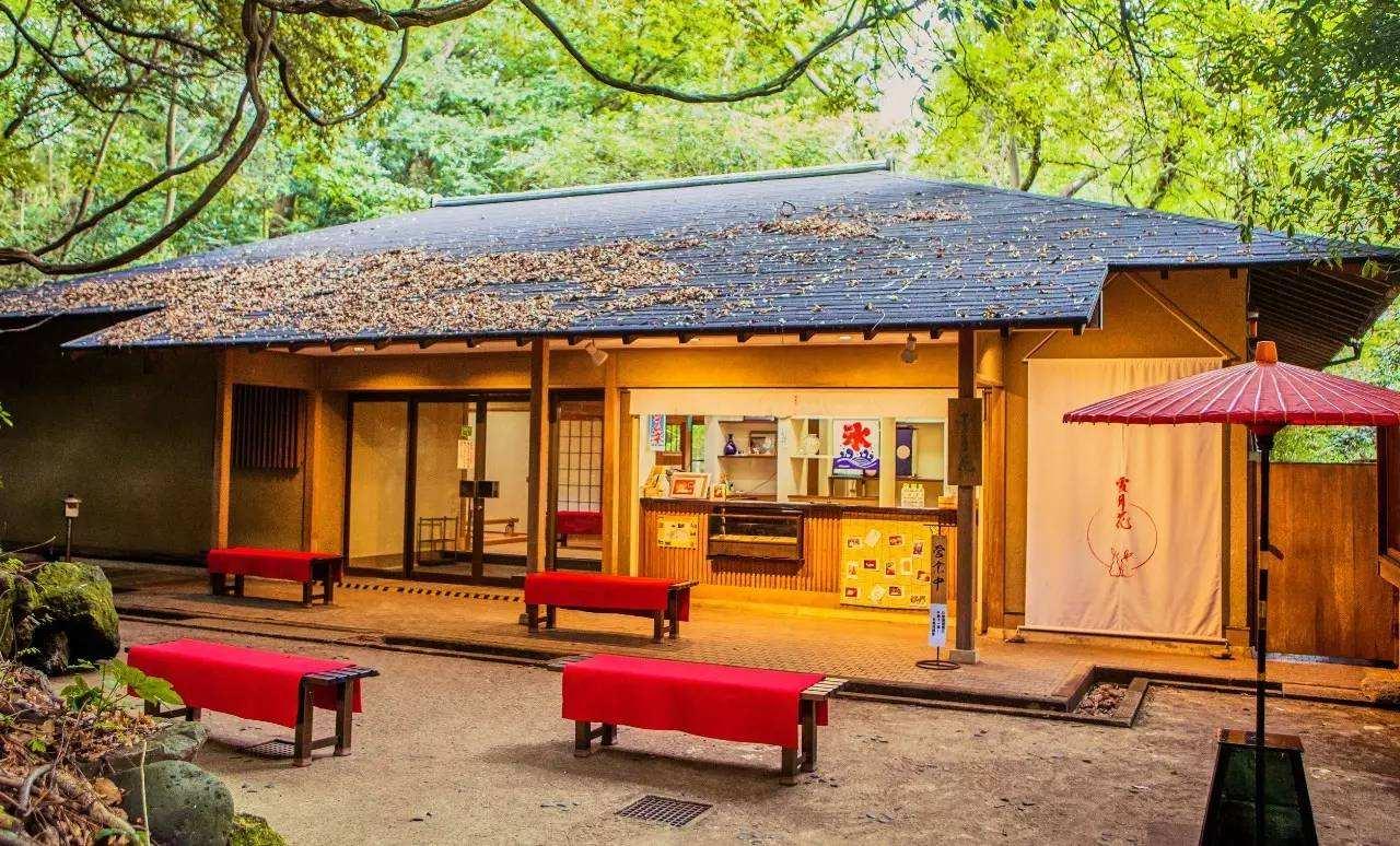疫情结束之际，回顾过去，展望未来