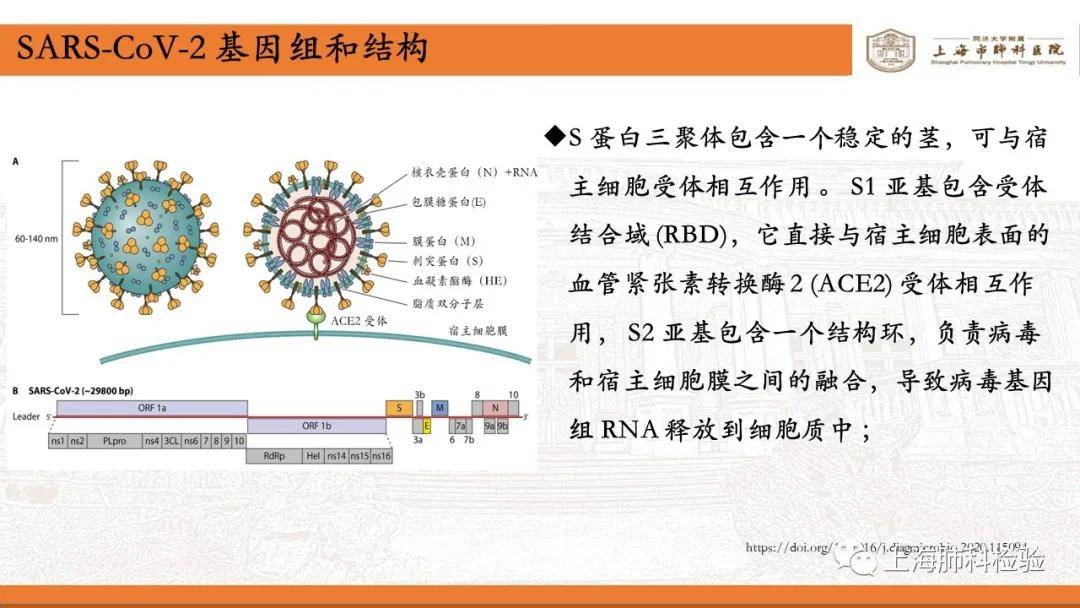 浙江新增 北京/浙江 北京 新冠