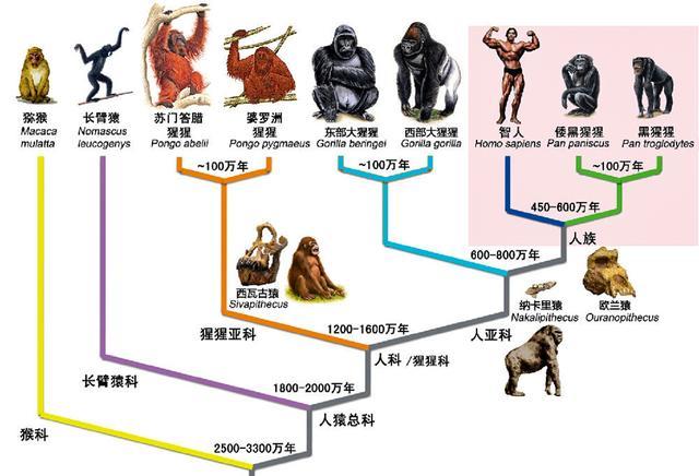 玩家必看教程“三哥玩摆头注免费开挂”(确实是有挂)-知乎