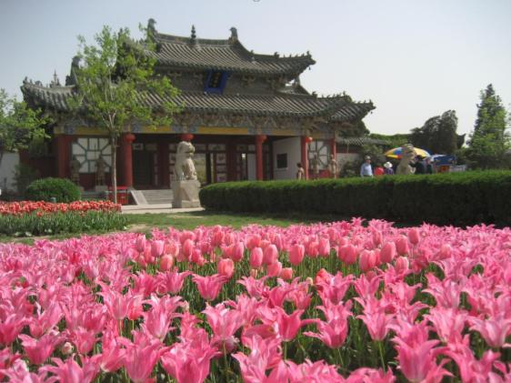 陕西南京疫情/陕西疫情最新分布消息