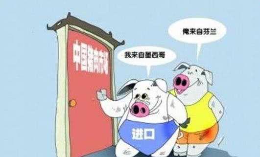 科普知识“青鸟大厅开挂”(原来确实是有挂)