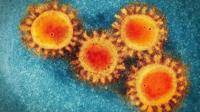教程辅助!“人皇大厅透视挂免费下载”其实确实有挂