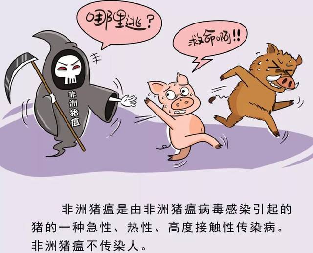 3分钟学会“微乐双扣辅助器免费版”详细教程辅助工具