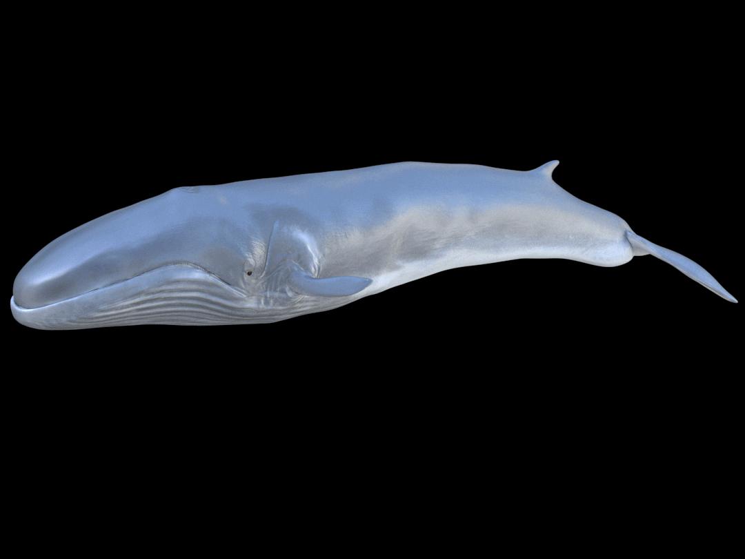 【黑龙江省病情,黑龙江省病情最新消息】