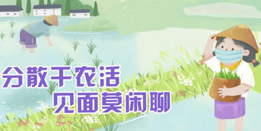 教程辅助!“情怀麻将开挂必赢神器”(确实是有挂)-知乎