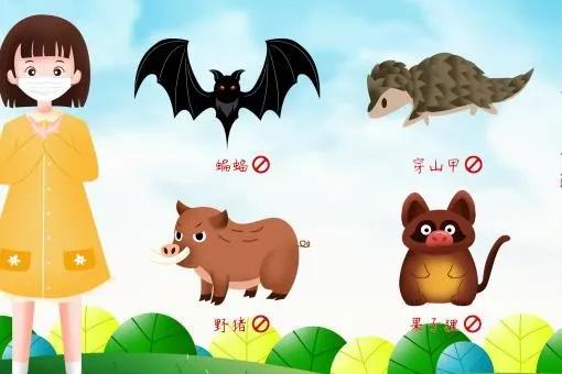 介绍一款“摸一把跑得快是不是有挂”(确实是有挂)-知乎