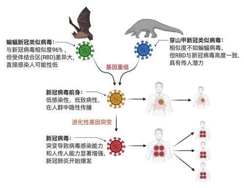 分享实测“聚游广东麻将有挂吗”其实确实有挂