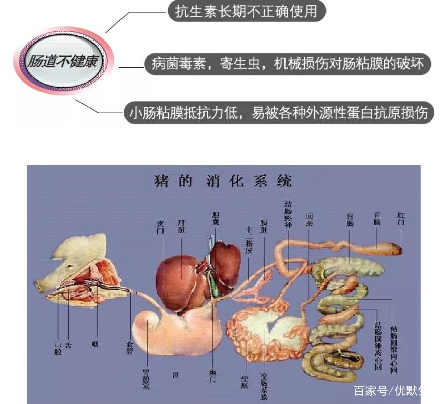 【浙江省输入疫情,浙江疫情输入病例】