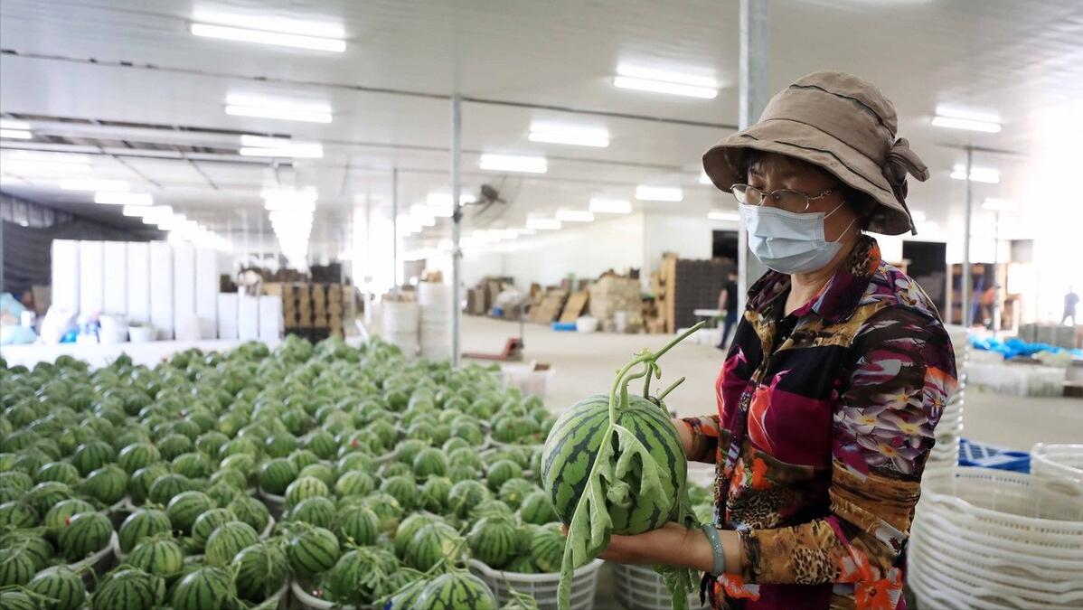 哈尔滨病例被网暴:哈尔滨确诊sars