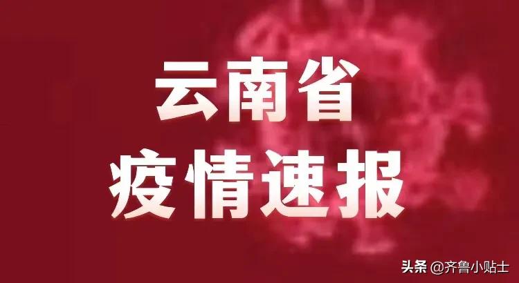 黑龙江省疫情感染最新消息，防控措施升级与民众应对指南