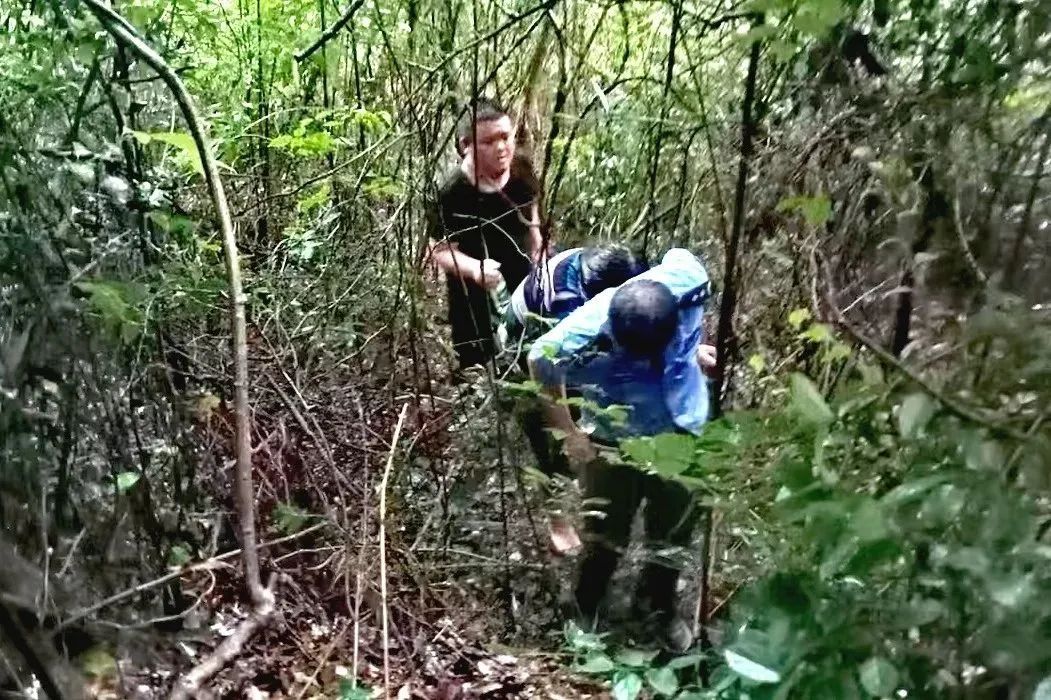 昨天合肥新增病例:合肥今天确诊病例