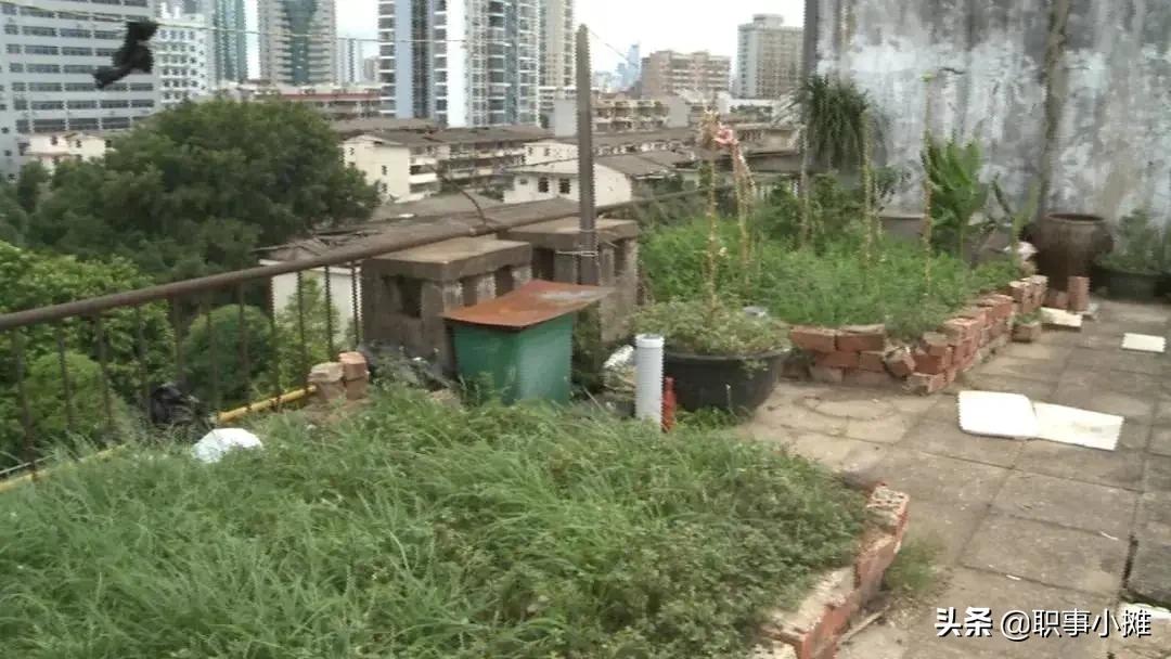 教程辅助!“呱呱扬州麻将有挂吗”(详细透视教程)-知乎