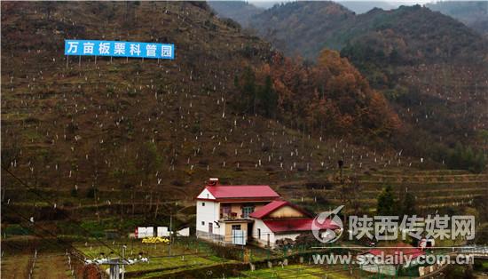 杭州疫情防控新闻发布会（杭州下发疫情防控通知）