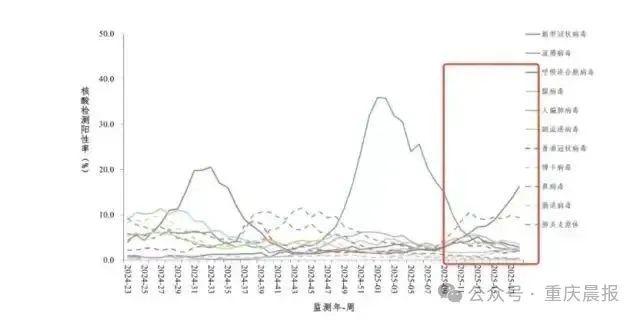 推荐一款“博弈麻友圈开挂”(详细透视教程)-知乎