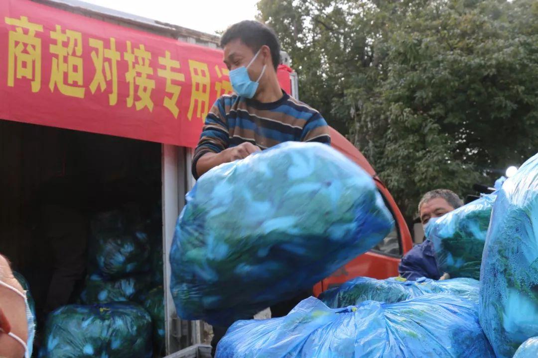 广州疫情下的特殊寒假，大学生们的归途与坚守