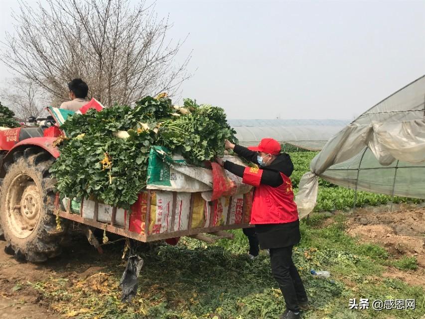 辅助开挂工具“福建兄弟十三水有挂吗!详细分享装挂步骤