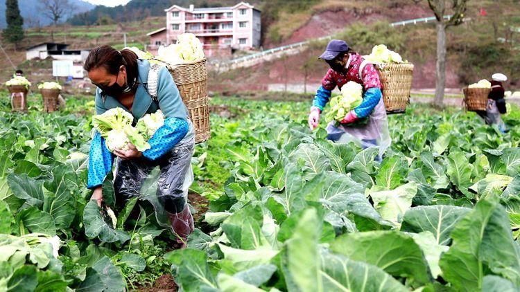 辅助神器“微乐微信小程序开挂方法!详细分享装挂步骤