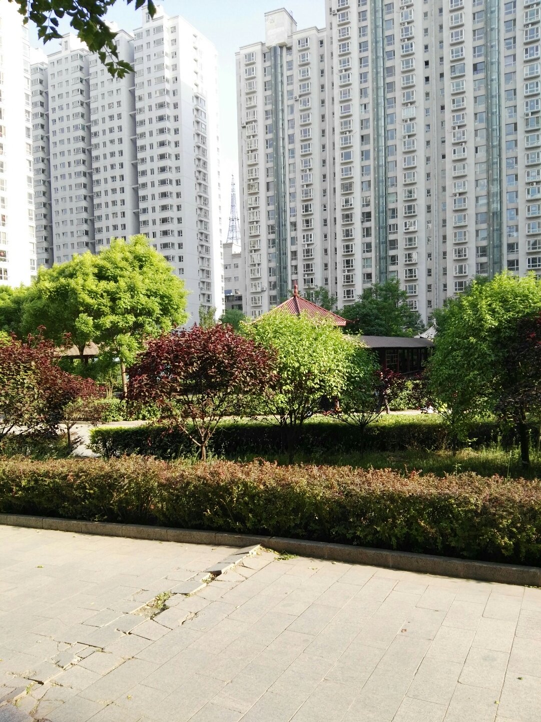 辅助开挂工具“决战血流麻将有没有挂”(详细透视教程)-知乎