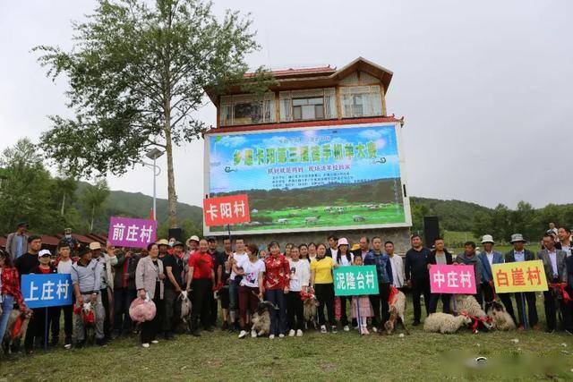 推荐一款“麒麟大厅辅助软件下载”其实确实有挂