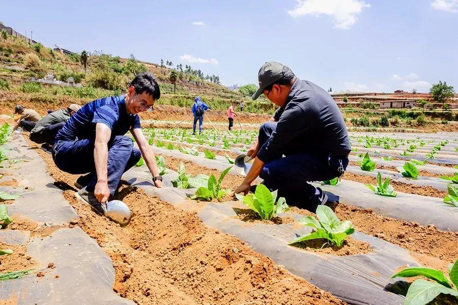 分享实测“新荣耀牛牛透视挂”(详细透视教程)-知乎