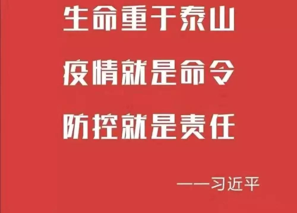 【上海中医教授专家,上海中医名师】