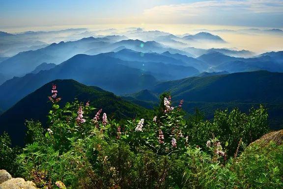 【疫情 北京疫苗 成都能打吗/疫情 北京疫苗 成都能打吗现在】
