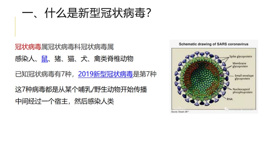 香港特区政府应对病毒感染情况，挑战、措施与未来展望