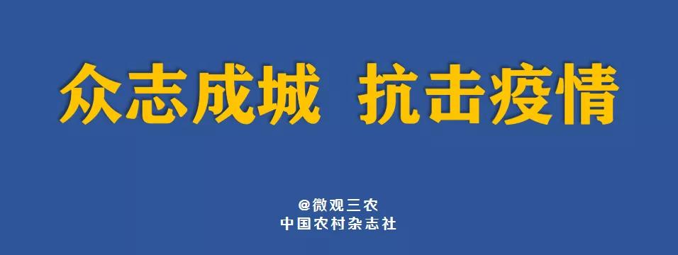 香港疫情最新数据，累计确诊病例有多少？防控措施与未来展望
