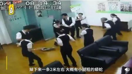 疫情下的归途，郑州大学生返乡南宁的政策困境与温情