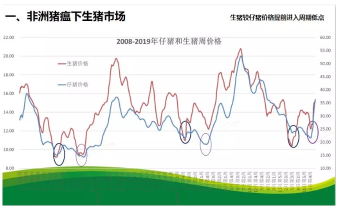 河南省大学生疫情防控，责任、挑战与未来展望