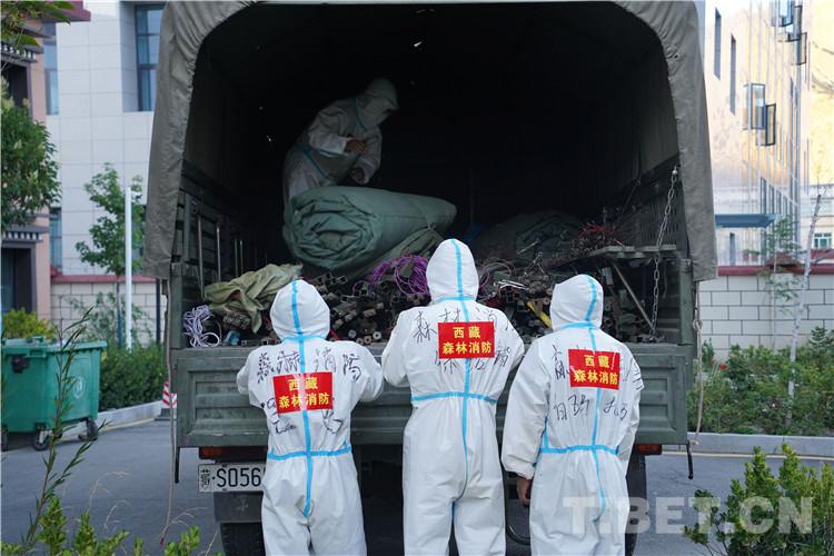 西藏自治区与北京市最新疫情政策对比分析与应对建议