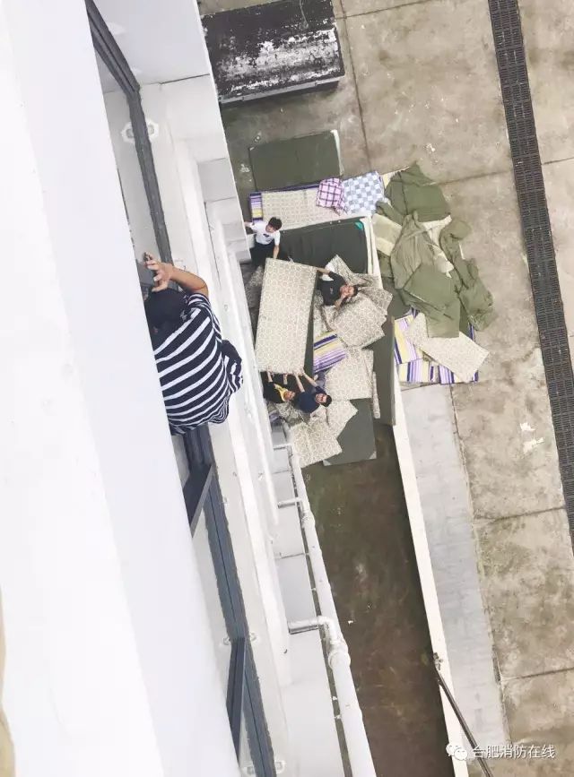 【合肥学生死亡/又一学生坠楼 合肥 2020】