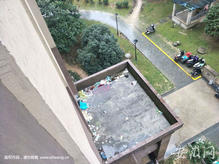 【合肥学生死亡/又一学生坠楼 合肥 2020】