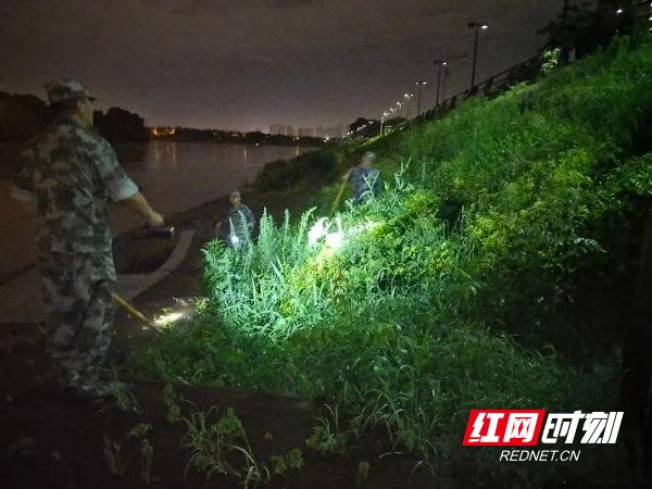 武汉疫情与郑州暴雨，双重考验下的中国韧性与团结