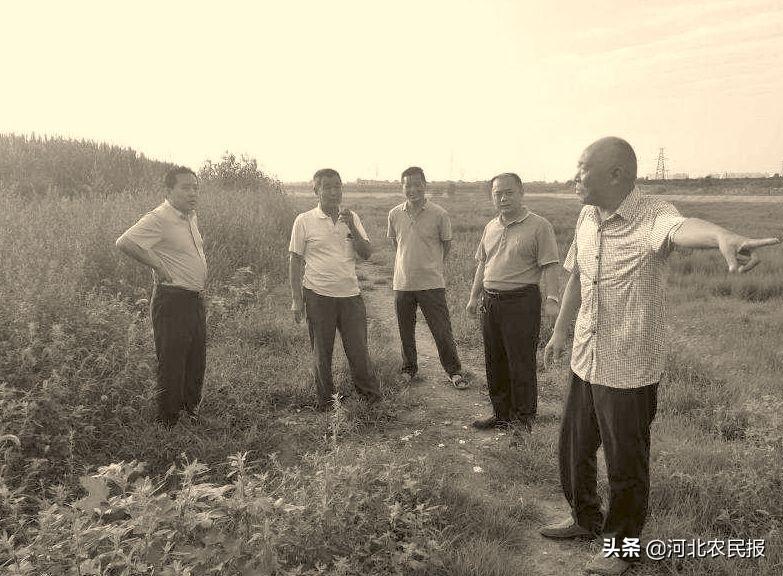 河北石家庄召开疫情防控会议，科学部署严抓落实，筑牢抗疫防线