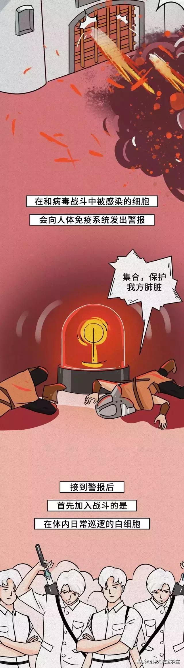 【内蒙古自治区新冠肺炎最新情况/内蒙古自治区新冠病毒最新情况】