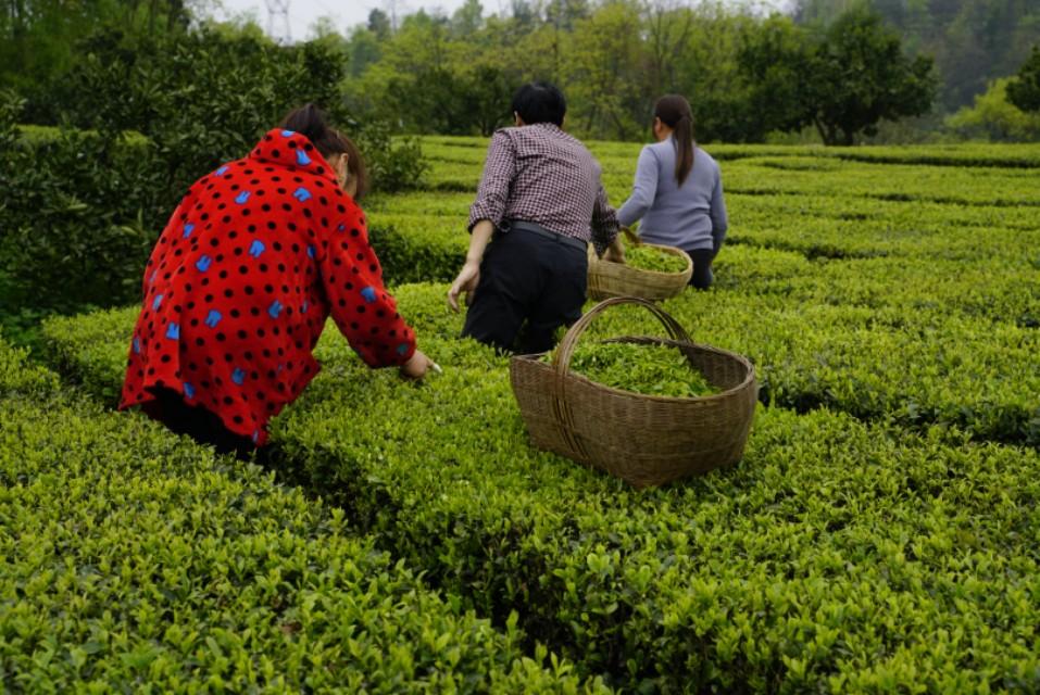 湖北省疫情最新进展（湖北省疫情最新消息新增多少）
