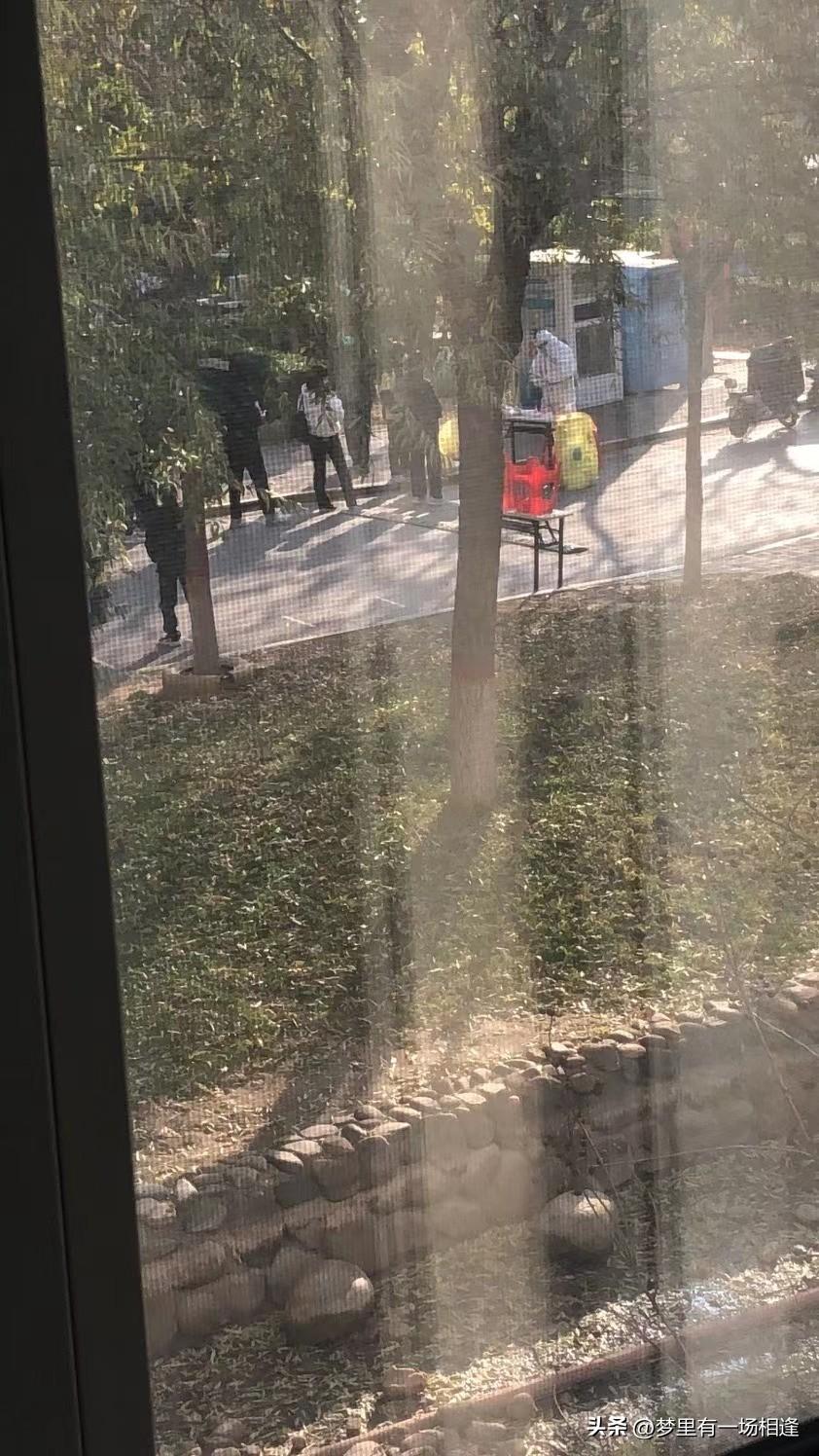 【石家庄解封了,石家庄解封了吗现在】