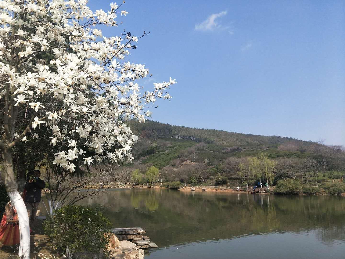 南京疫情现在是什么码:现在的南京疫情