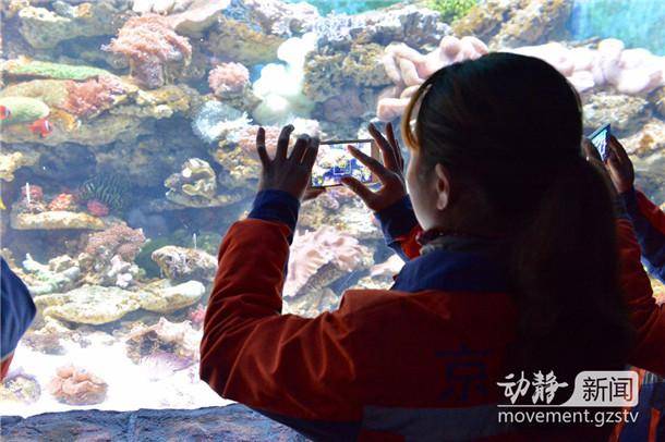 辅助神器“海贝之城拼三张透视挂免费下载”(原来确实是有挂)