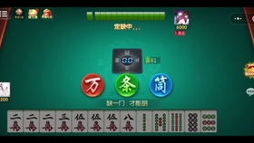 辅助开挂工具“微乐捉老麻子开挂神器”(详细透视教程)-知乎