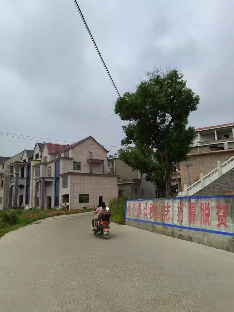 辅助神器“中至乐平麻将如何开挂”(确实是有挂)-知乎