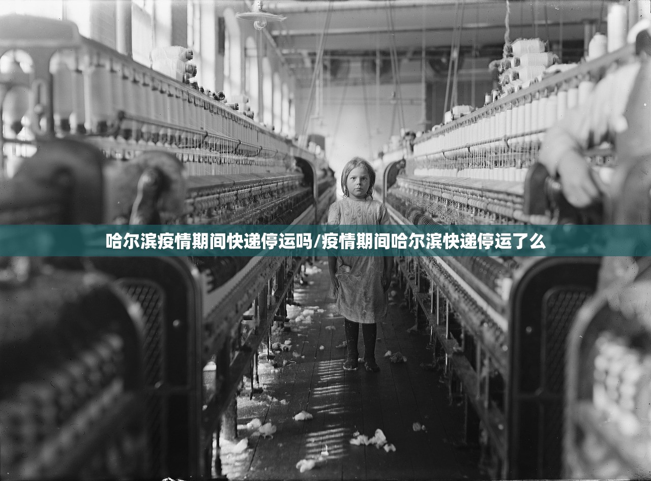 哈尔滨疫情期间快递停运吗/疫情期间哈尔滨快递停运了么