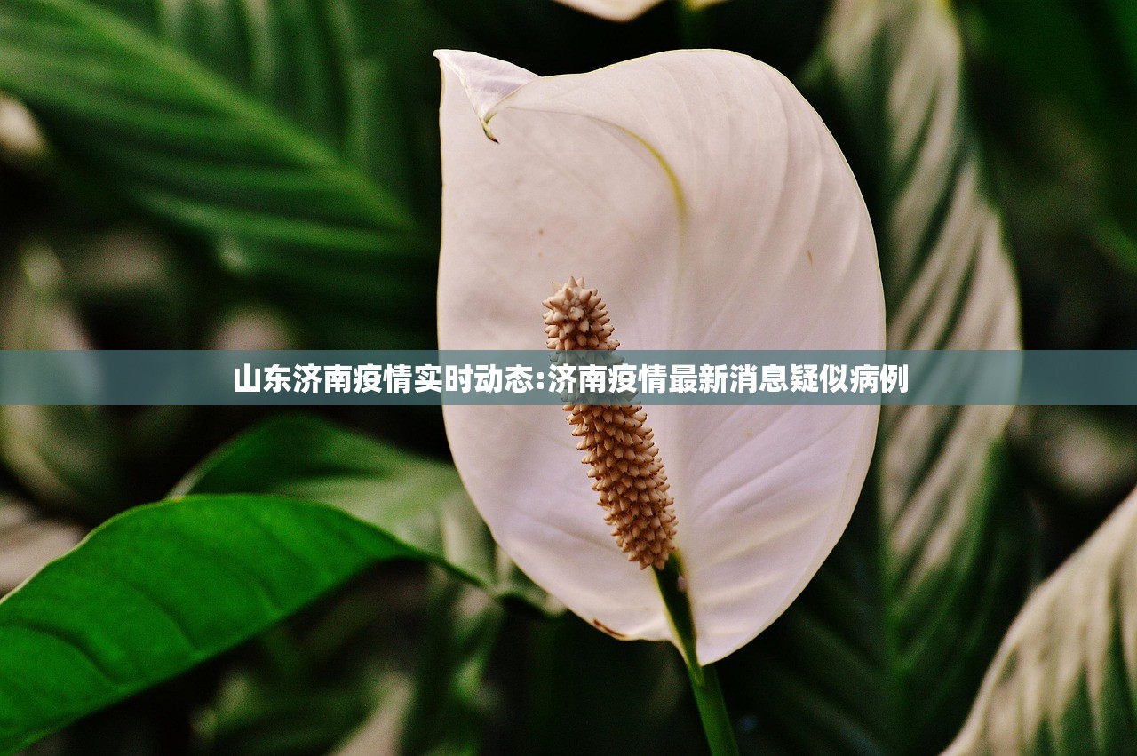 山东济南疫情实时动态:济南疫情最新消息疑似病例