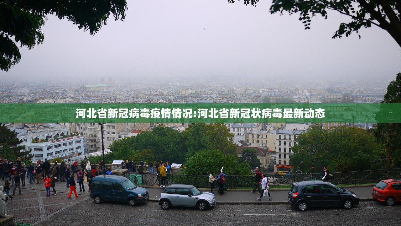 河北省新冠病毒疫情情况:河北省新冠状病毒最新动态