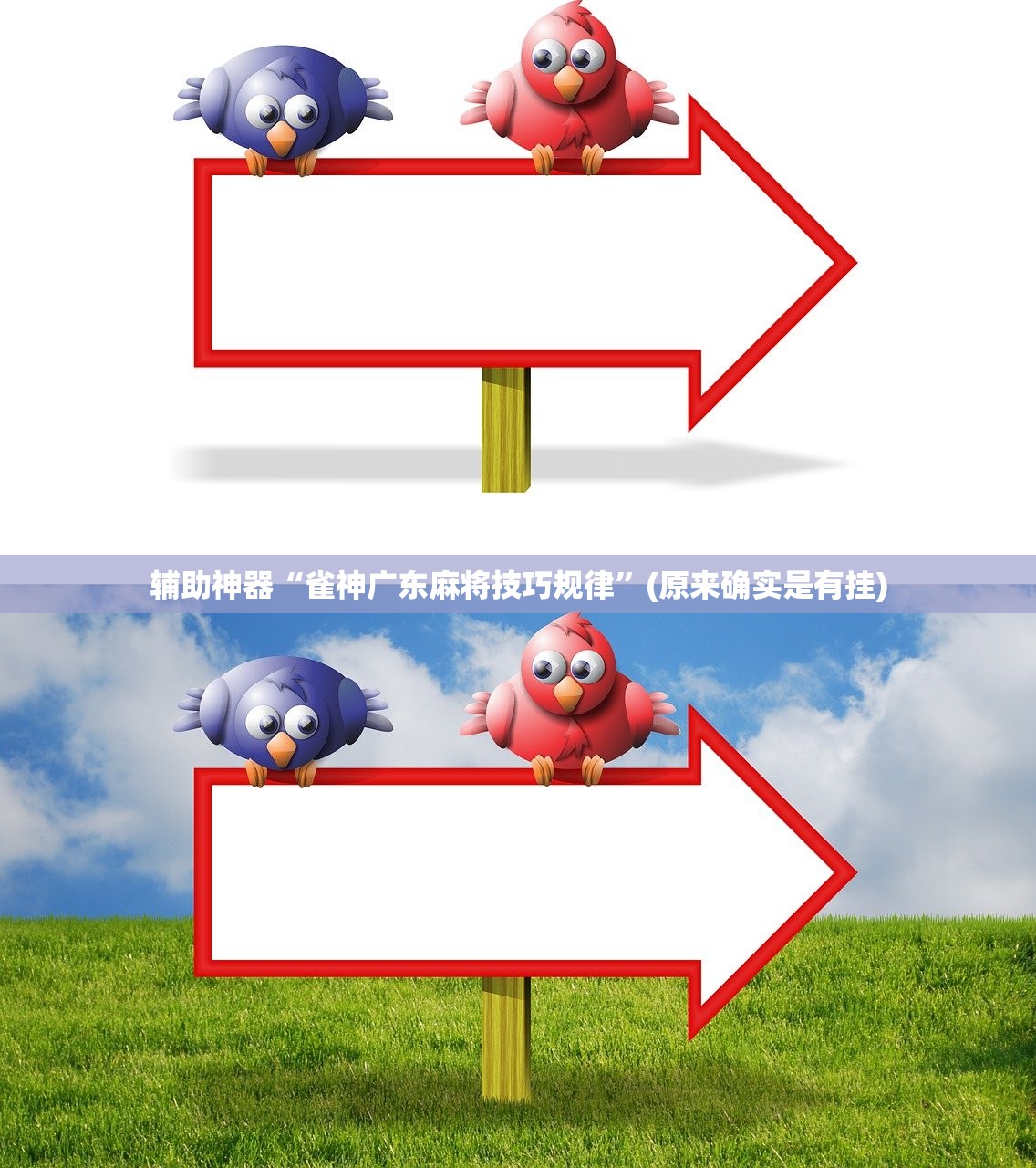 辅助神器“雀神广东麻将技巧规律”(原来确实是有挂)