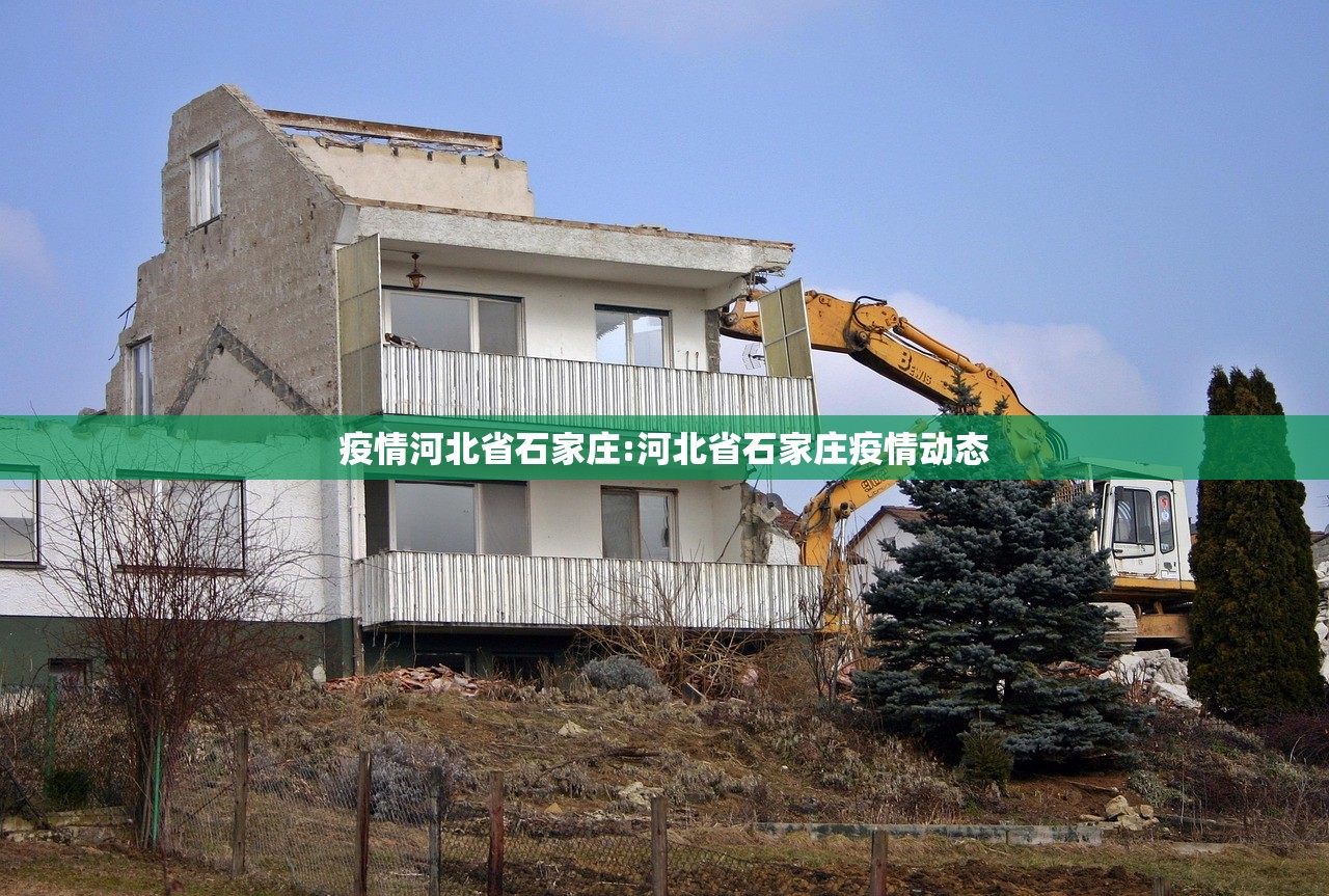 疫情河北省石家庄:河北省石家庄疫情动态